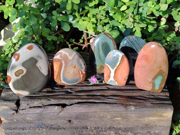 Polished Polychrome Jasper Standing Free Forms x 6 From Madagascar