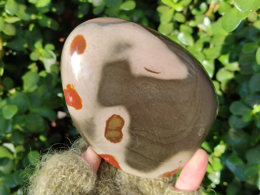 Polished Polychrome Jasper Standing Free Forms x 6 From Madagascar - Toprock Gemstones and Minerals 