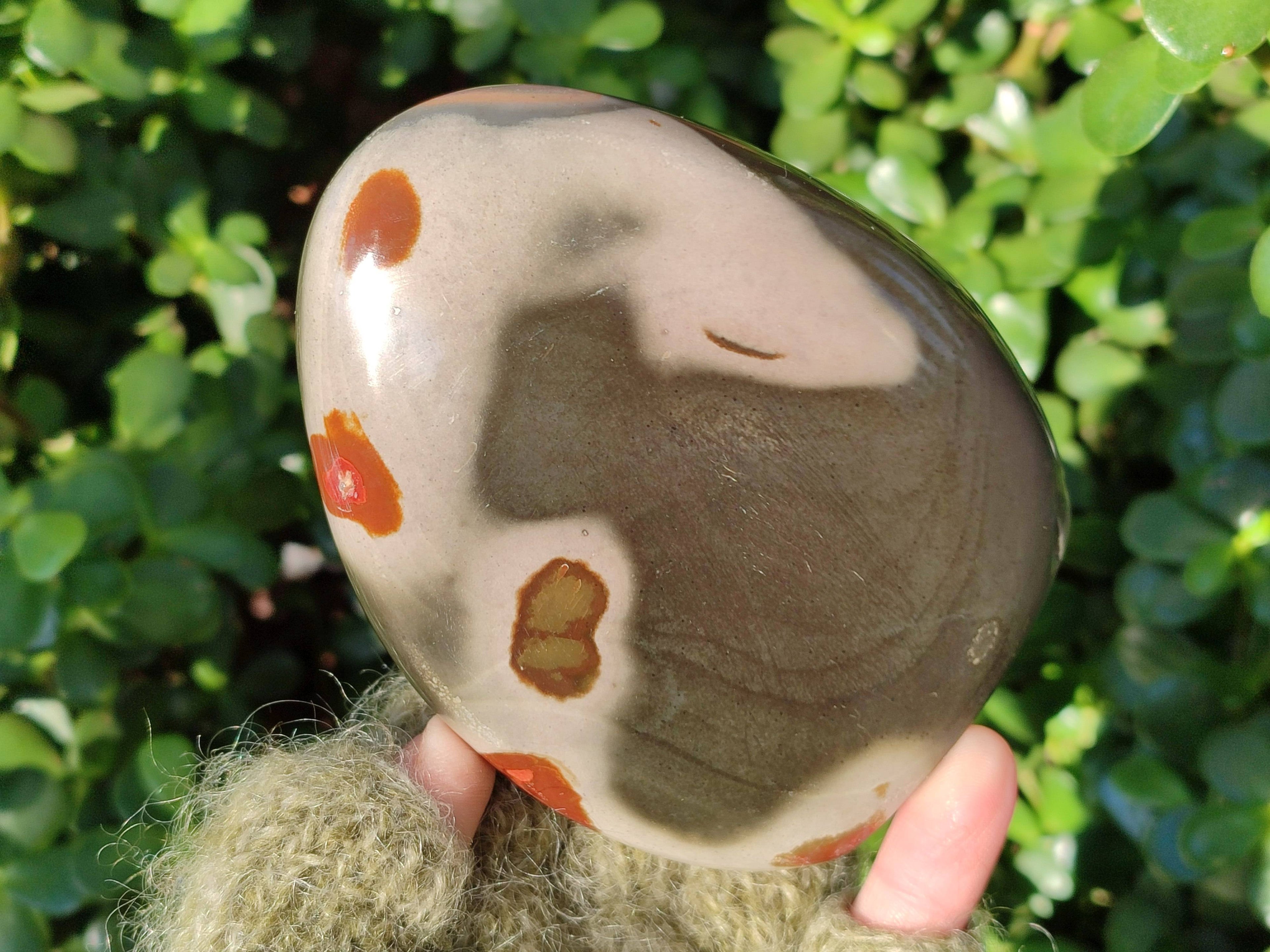 Polished Polychrome Jasper Standing Free Forms x 6 From Madagascar - Toprock Gemstones and Minerals 