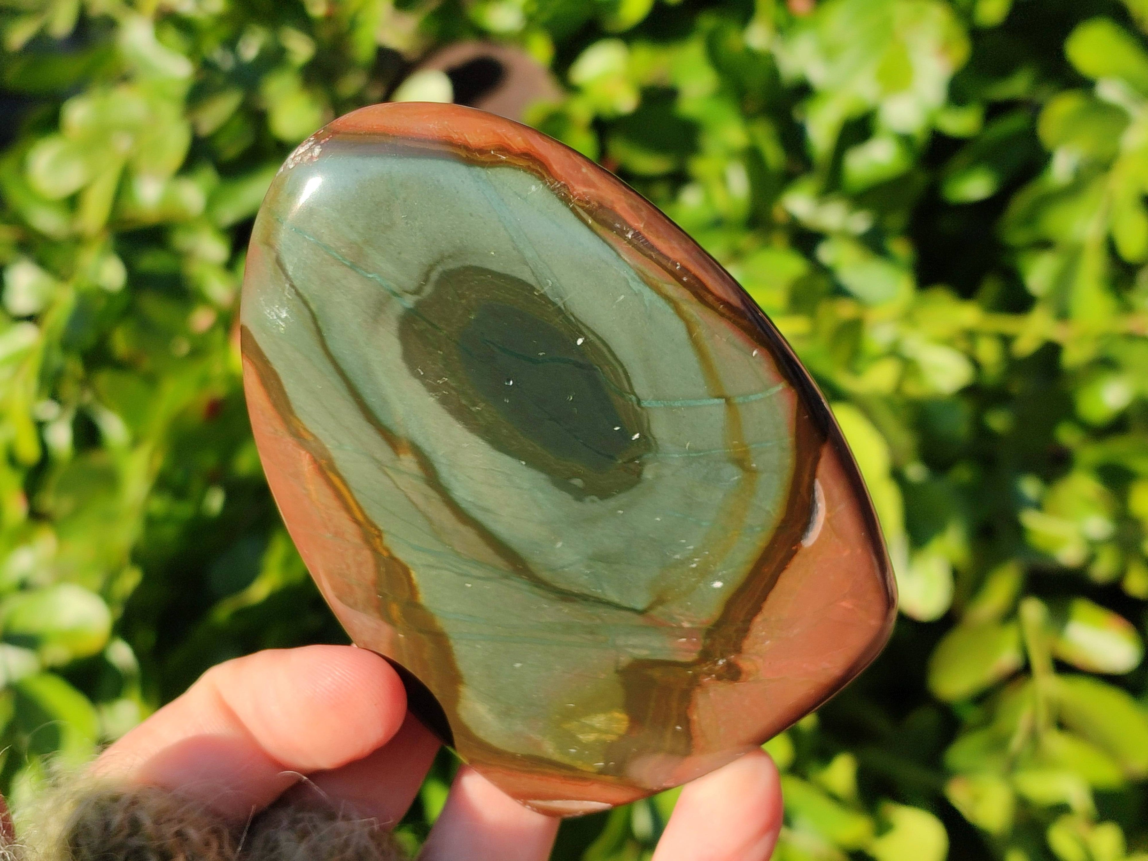 Polished Polychrome Jasper Standing Free Forms x 6 From Madagascar - Toprock Gemstones and Minerals 