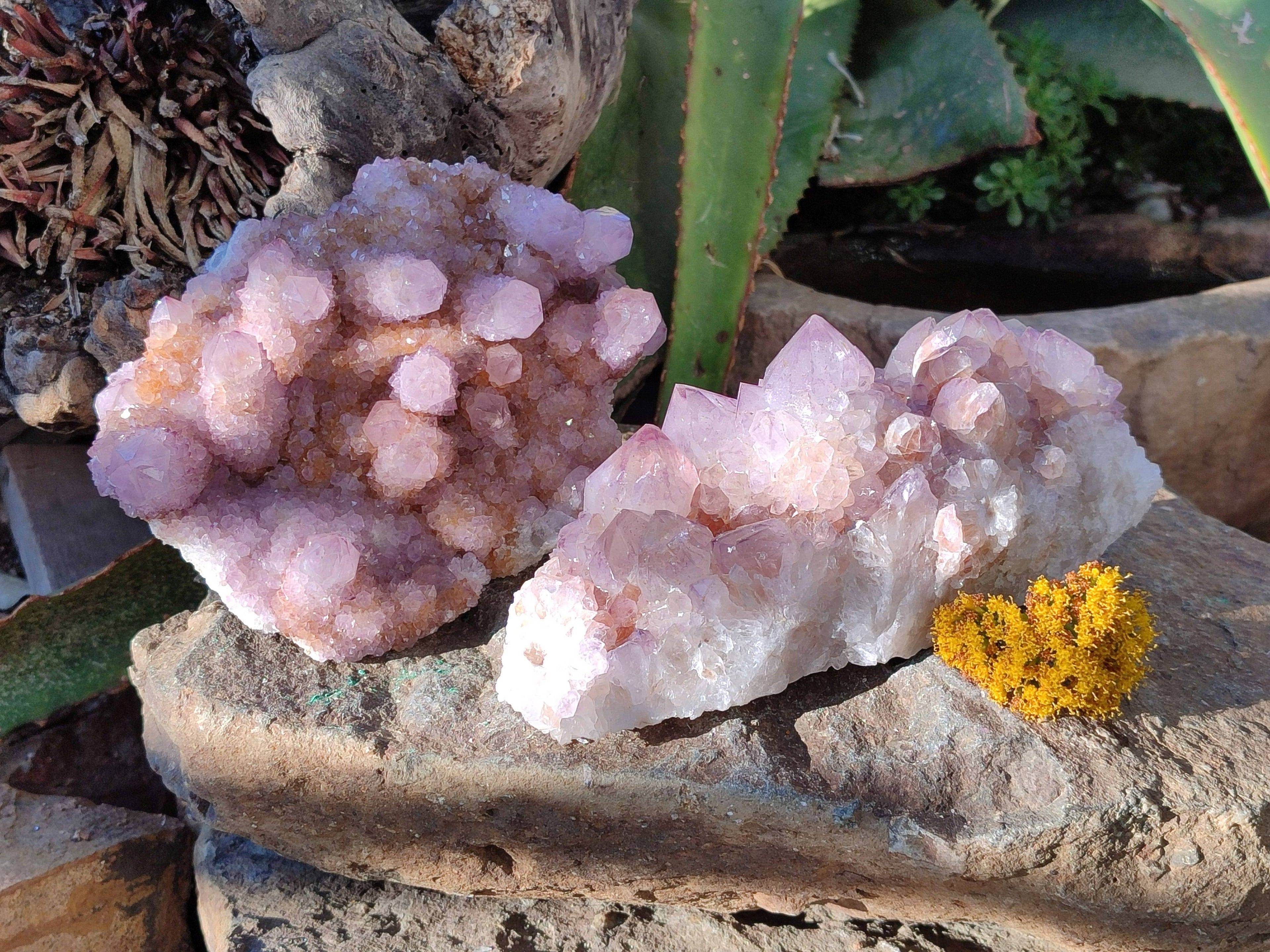 Natural Amethyst Spirit Quartz Clusters x 2 From Boekenhouthoek, South Africa - Toprock Gemstones and Minerals 
