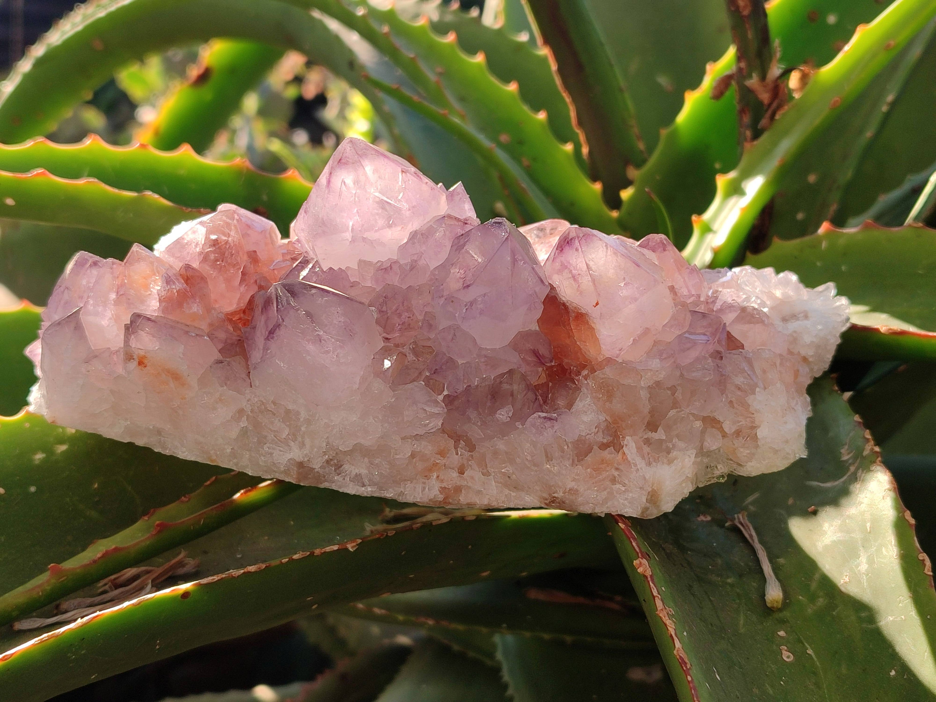 Natural Amethyst Spirit Quartz Clusters x 2 From Boekenhouthoek, South Africa - Toprock Gemstones and Minerals 