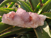 Natural Amethyst Spirit Quartz Clusters x 2 From Boekenhouthoek, South Africa