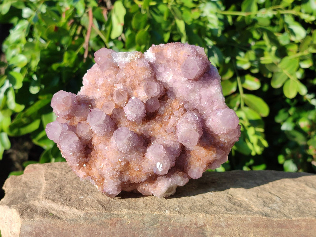 Natural Amethyst Spirit Quartz Clusters x 2 From Boekenhouthoek, South Africa - Toprock Gemstones and Minerals 