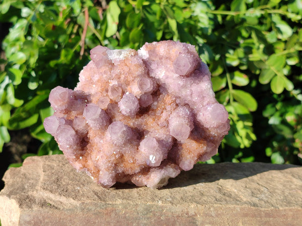 Natural Amethyst Spirit Quartz Clusters x 2 From Boekenhouthoek, South Africa