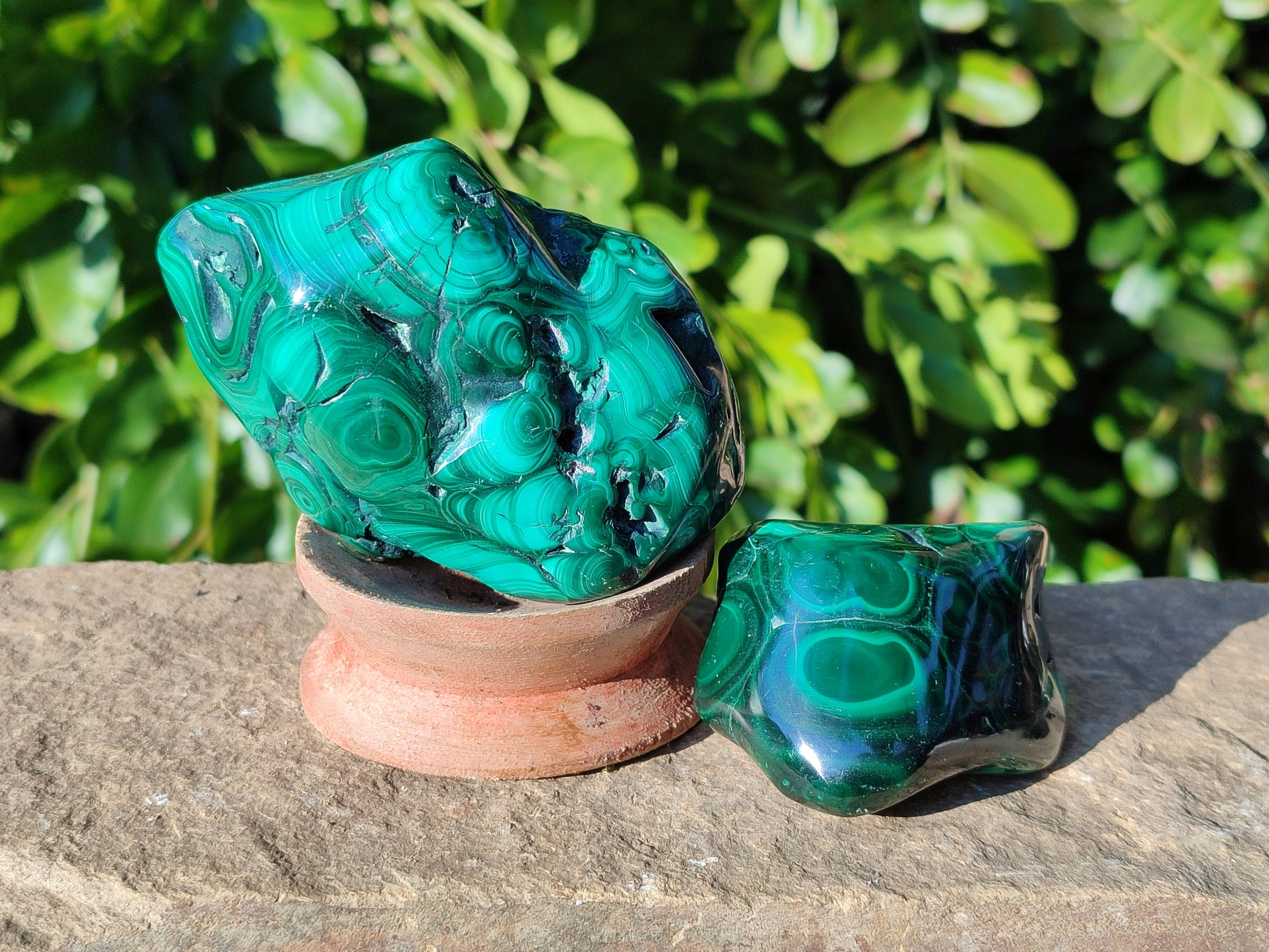 Polished Flower Malachite Free Forms x 6 From Congo - Toprock Gemstones and Minerals 