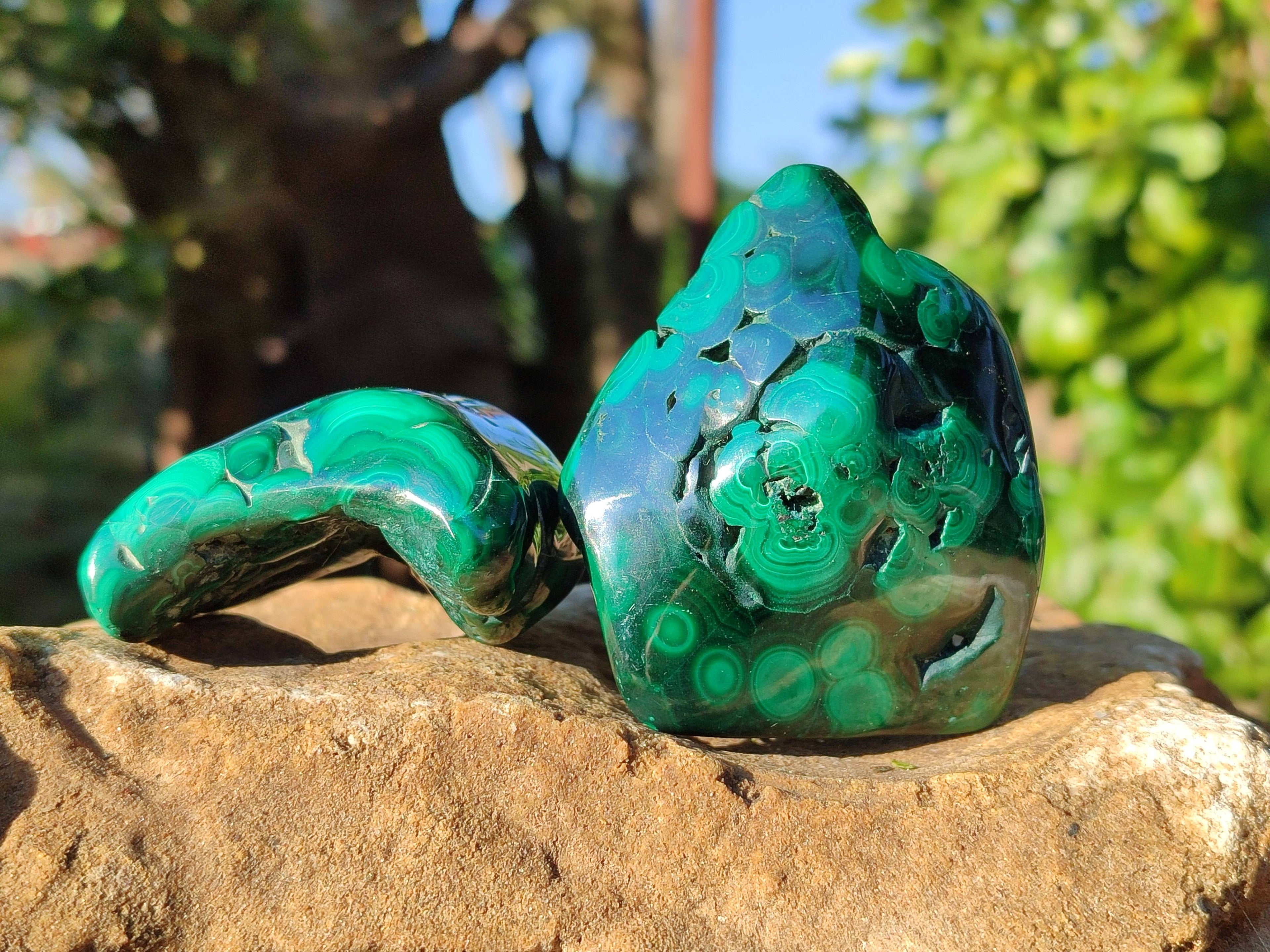 Polished Flower Malachite Free Forms x 6 From Congo - Toprock Gemstones and Minerals 