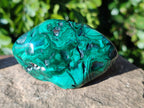 Polished Flower Malachite Free Forms x 6 From Congo - Toprock Gemstones and Minerals 