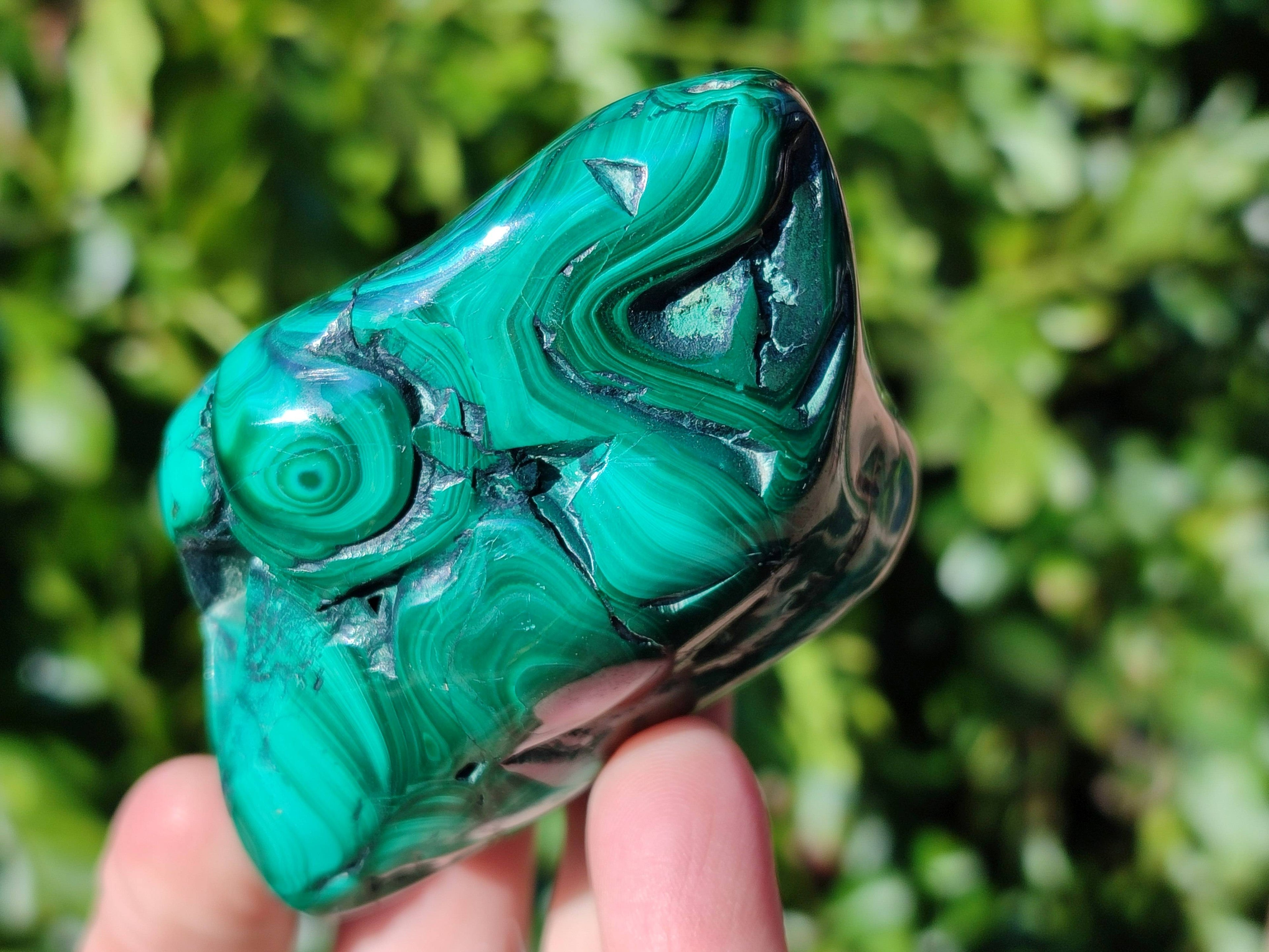 Polished Flower Malachite Free Forms x 6 From Congo - Toprock Gemstones and Minerals 