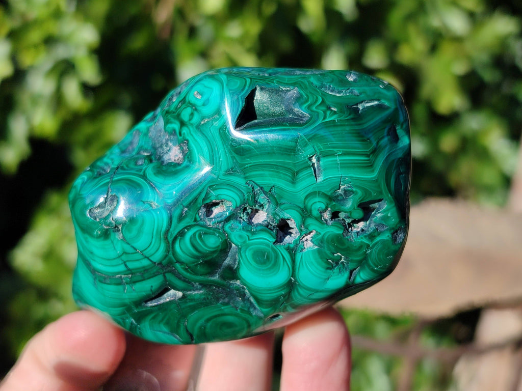 Polished Flower Malachite Free Forms x 6 From Congo - Toprock Gemstones and Minerals 