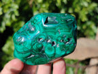 Polished Flower Malachite Free Forms x 6 From Congo - Toprock Gemstones and Minerals 