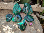 Polished Flower Malachite Free Forms x 6 From Congo - Toprock Gemstones and Minerals 