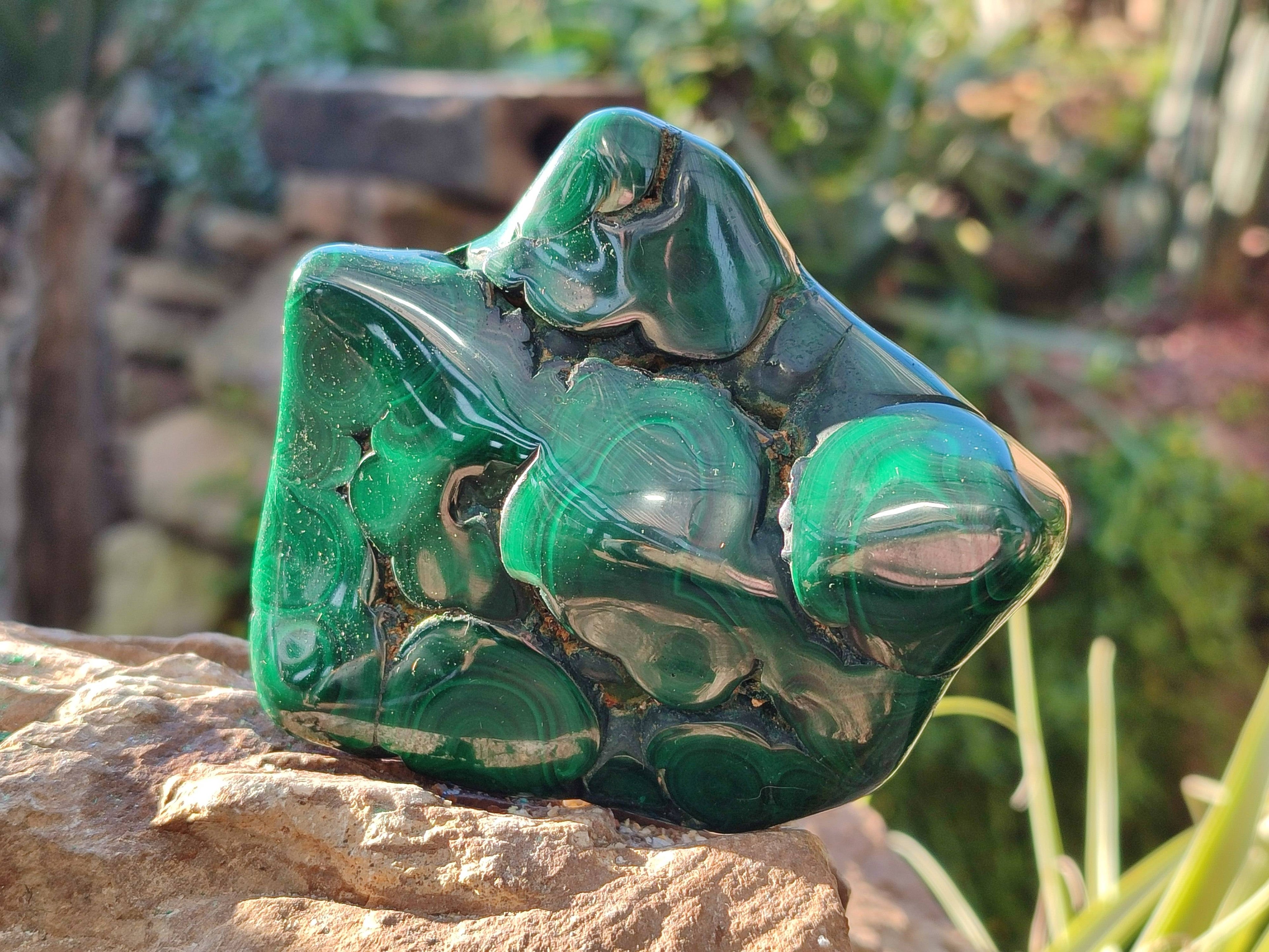 Polished Flower Malachite Free Forms x 6 From Congo - Toprock Gemstones and Minerals 