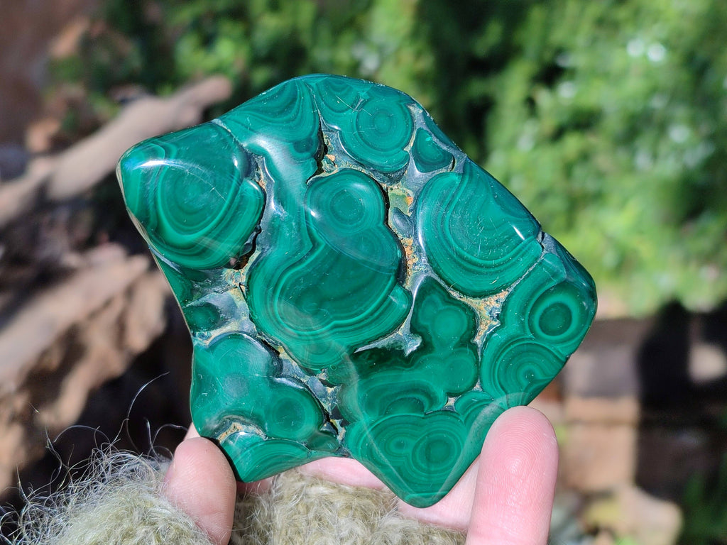Polished Flower Malachite Free Forms x 6 From Congo - Toprock Gemstones and Minerals 
