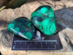 Polished Flower Malachite Free Forms x 6 From Congo - Toprock Gemstones and Minerals 