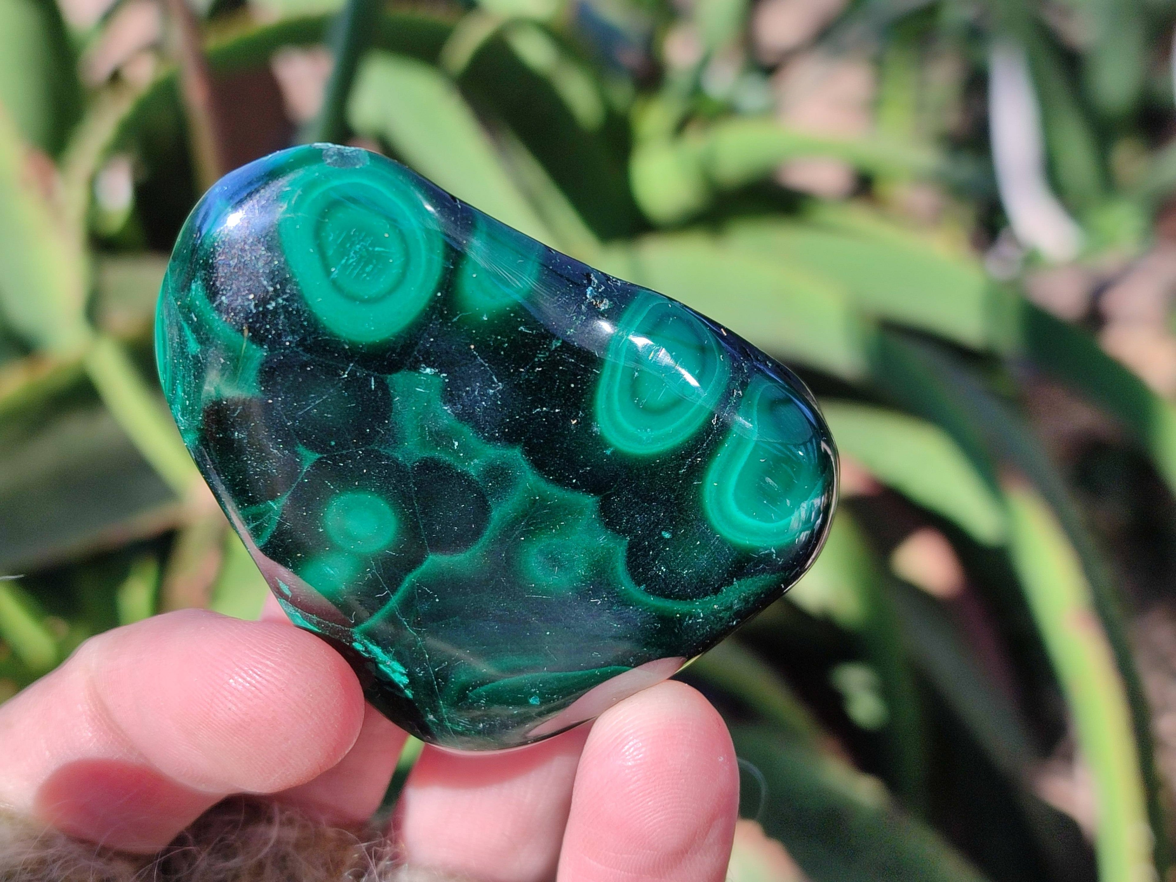 Polished Flower Malachite Free Forms x 6 From Congo - Toprock Gemstones and Minerals 