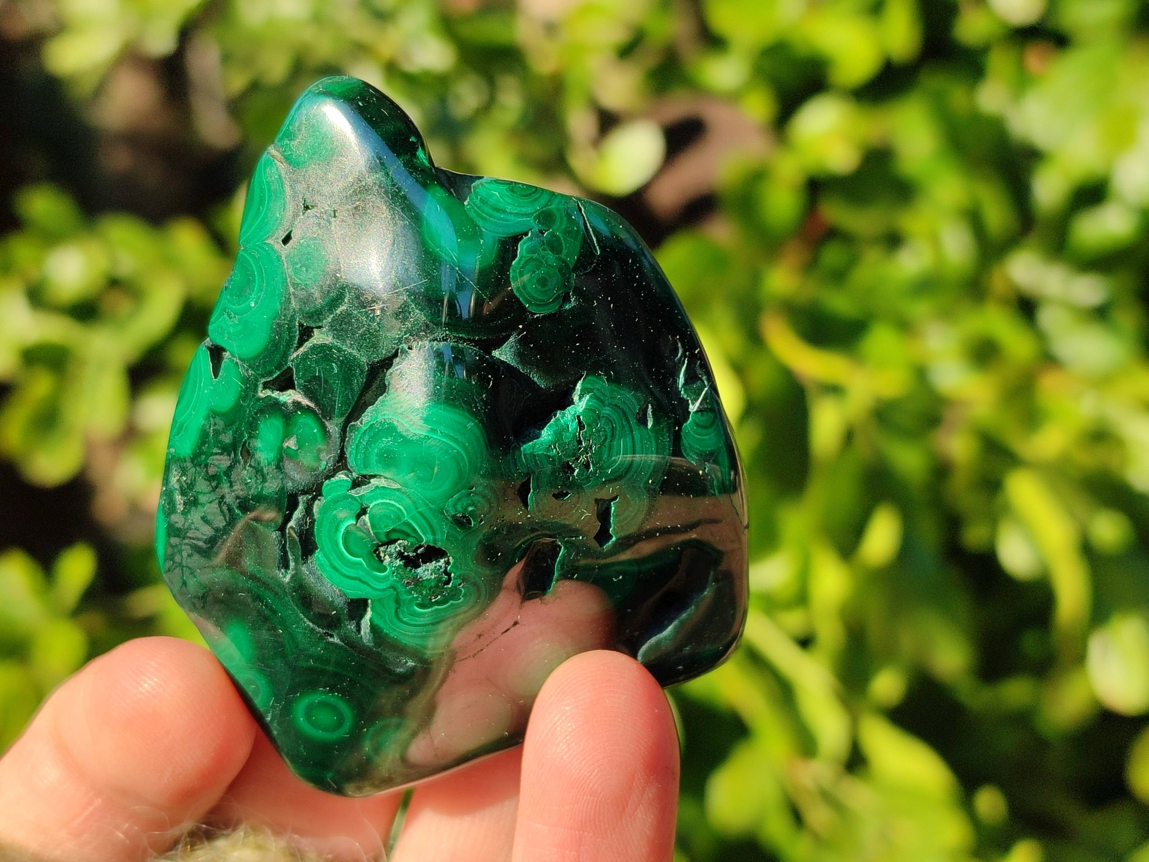 Polished Flower Malachite Free Forms x 6 From Congo - Toprock Gemstones and Minerals 