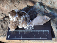 Natural Smokey Amethyst Quartz Crystals x 24 From Brandberg, Namibia