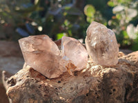 Natural Smokey Amethyst Quartz Crystals x 24 From Brandberg, Namibia