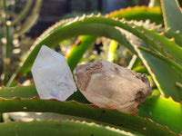 Natural Smokey Amethyst Quartz Crystals x 24 From Brandberg, Namibia