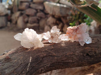 Natural Smokey Amethyst Quartz Crystals x 24 From Brandberg, Namibia