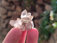 Natural Smokey Amethyst Quartz Crystals x 24 From Brandberg, Namibia