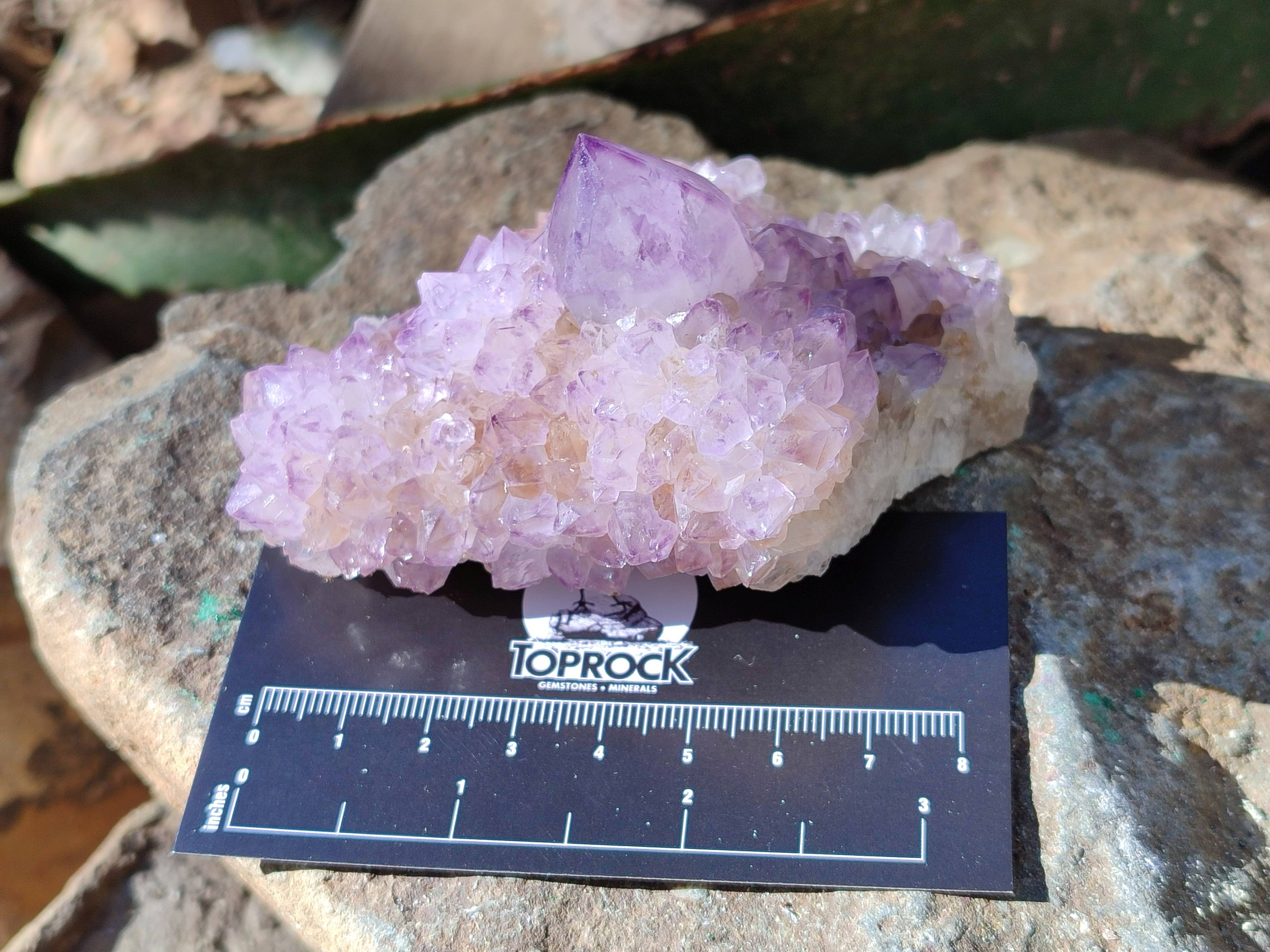 Natural Amethyst Spirit Quartz Clusters x 4 From Boekenhouthoek, South Africa - Toprock Gemstones and Minerals 