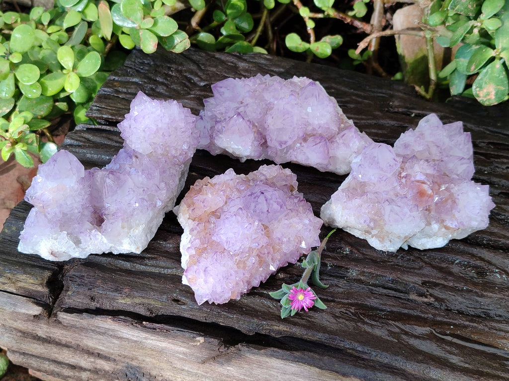 Natural Amethyst Spirit Quartz Clusters x 4 From Boekenhouthoek, South Africa - Toprock Gemstones and Minerals 
