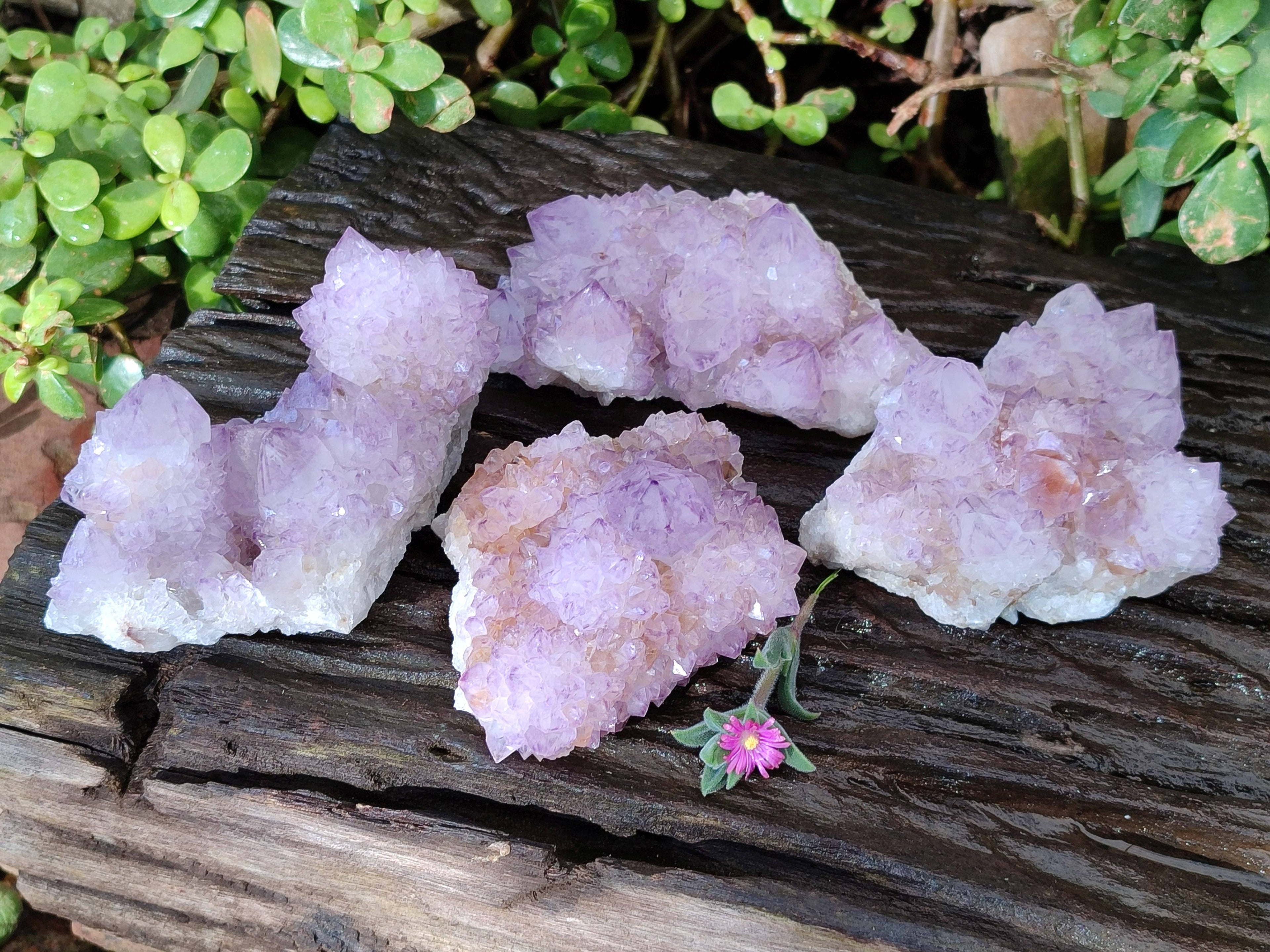 Natural Amethyst Spirit Quartz Clusters x 4 From Boekenhouthoek, South Africa - Toprock Gemstones and Minerals 