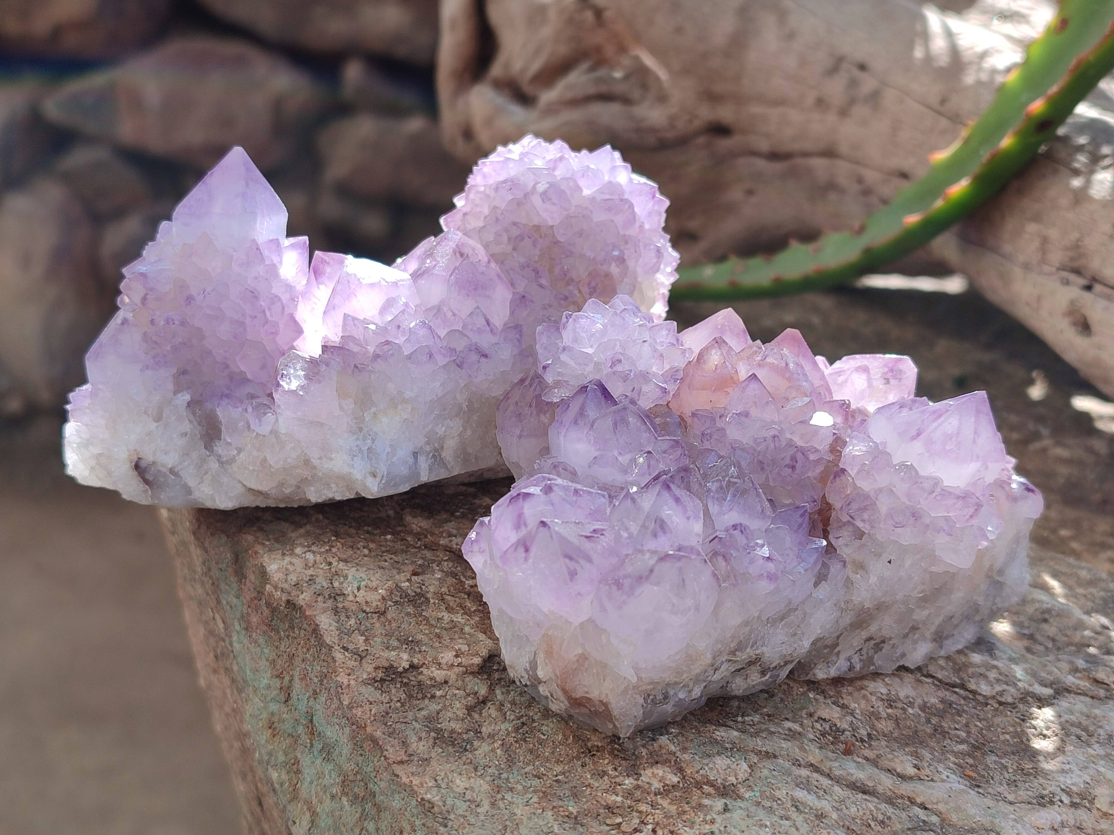 Natural Amethyst Spirit Quartz Clusters x 4 From Boekenhouthoek, South Africa - Toprock Gemstones and Minerals 