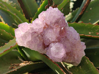 Natural Amethyst Spirit Quartz Clusters x 4 From Boekenhouthoek, South Africa