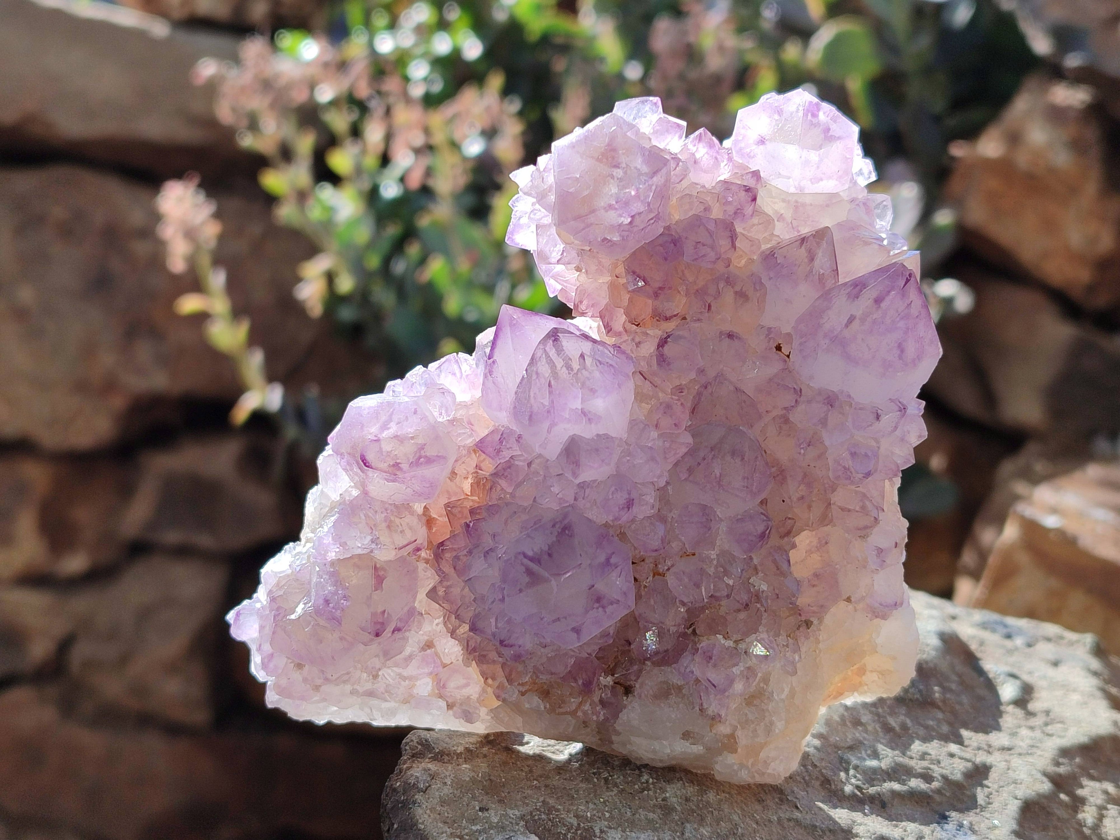 Natural Amethyst Spirit Quartz Clusters x 4 From Boekenhouthoek, South Africa - Toprock Gemstones and Minerals 