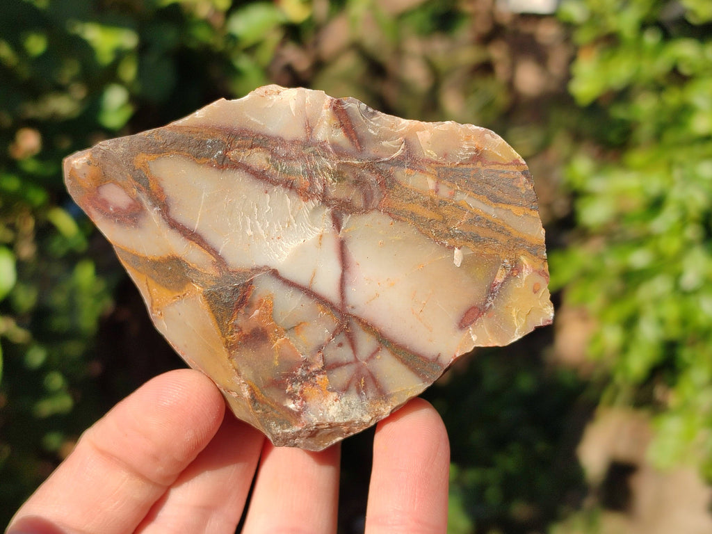 Natural Selected Nguni Jasper Cobbed Specimens x 24 From Prieska, South Africa - Toprock Gemstones and Minerals 