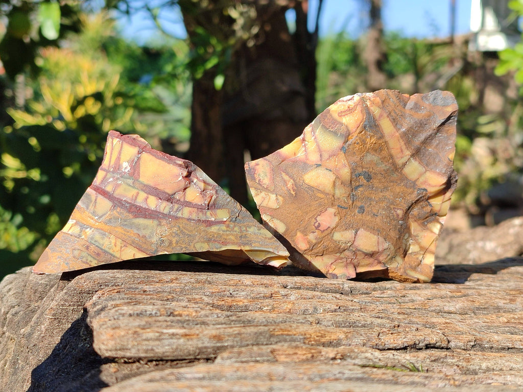 Natural Selected Nguni Jasper Cobbed Specimens x 24 From Prieska, South Africa - Toprock Gemstones and Minerals 