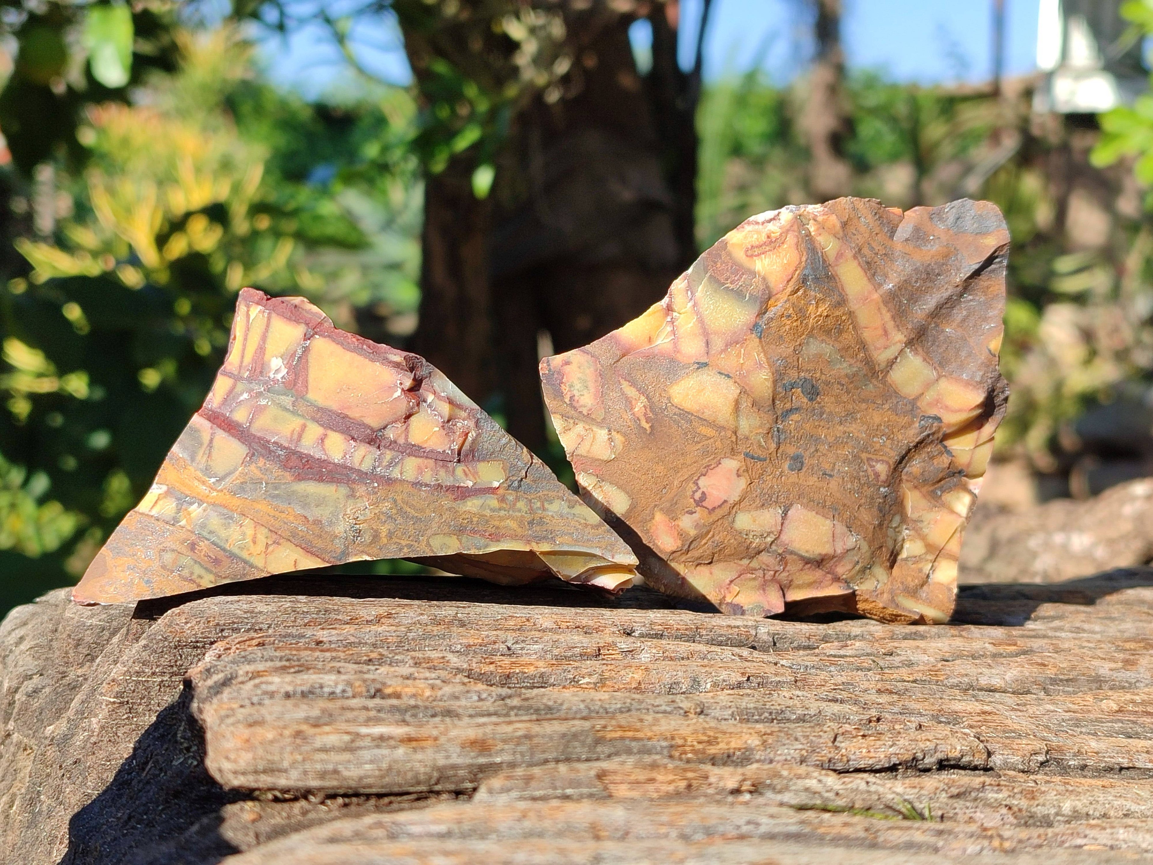 Natural Selected Nguni Jasper Cobbed Specimens x 24 From Prieska, South Africa - Toprock Gemstones and Minerals 