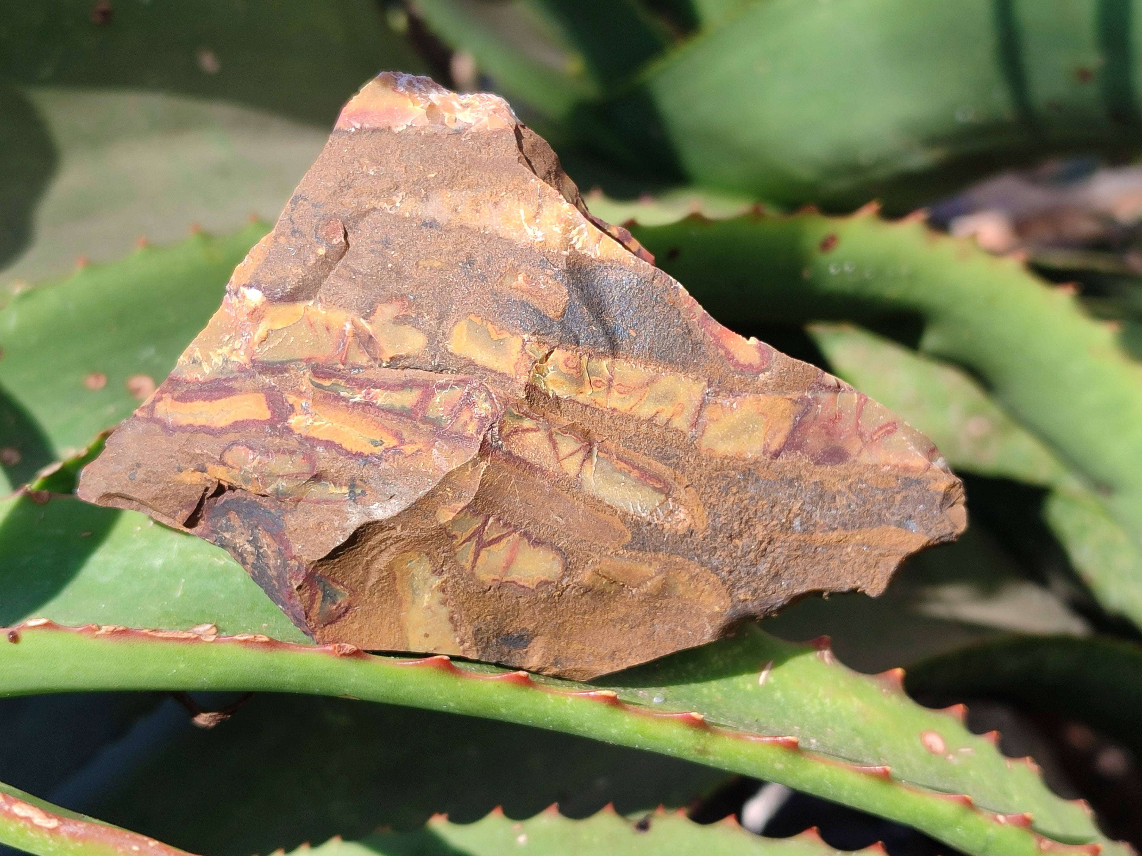 Natural Selected Nguni Jasper Cobbed Specimens x 24 From Prieska, South Africa - Toprock Gemstones and Minerals 