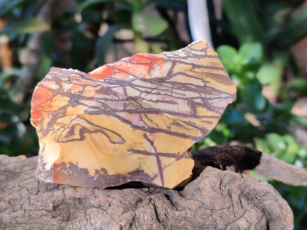 Natural Selected Nguni Jasper Cobbed Specimens x 24 From Prieska, South Africa - Toprock Gemstones and Minerals 