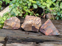 Natural Selected Nguni Jasper Cobbed Specimens x 24 From Prieska, South Africa