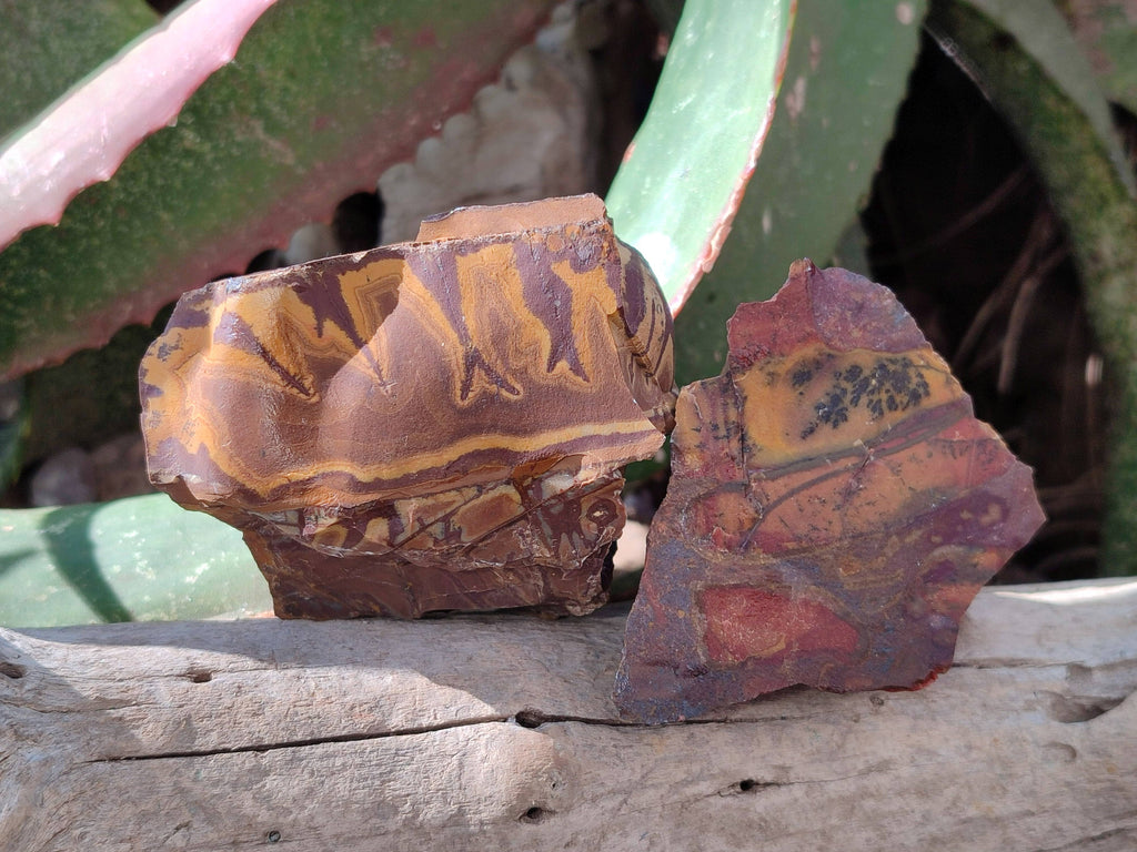 Natural Selected Nguni Jasper Cobbed Specimens x 24 From Prieska, South Africa - Toprock Gemstones and Minerals 