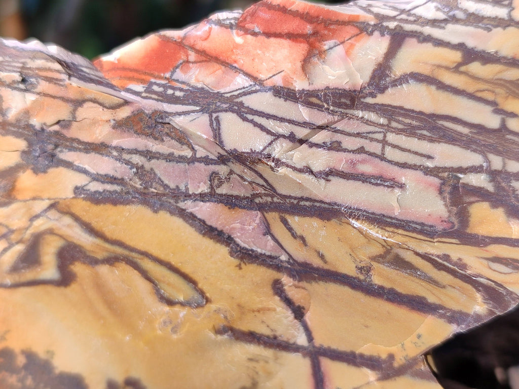 Natural Selected Nguni Jasper Cobbed Specimens x 24 From Prieska, South Africa - Toprock Gemstones and Minerals 