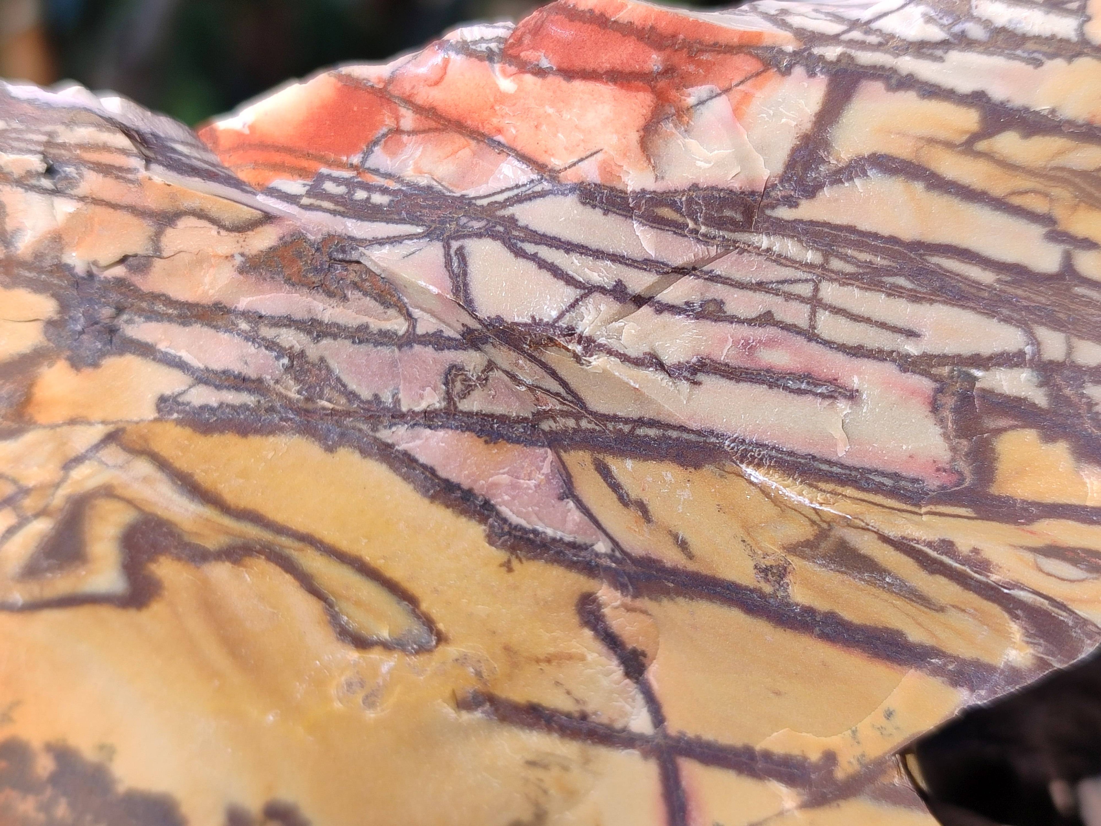 Natural Selected Nguni Jasper Cobbed Specimens x 24 From Prieska, South Africa - Toprock Gemstones and Minerals 