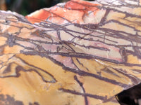 Natural Selected Nguni Jasper Cobbed Specimens x 24 From Prieska, South Africa