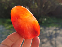 Polished Carnelian Agate Standing Free Forms x 6 From Madagascar - Toprock Gemstones and Minerals 