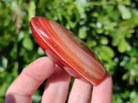 Polished Carnelian Agate Standing Free Forms x 6 From Madagascar - Toprock Gemstones and Minerals 