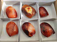 Polished Carnelian Agate Standing Free Forms x 6 From Madagascar - Toprock Gemstones and Minerals 