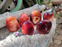 Polished Carnelian Agate Standing Free Forms x 6 From Madagascar - Toprock Gemstones and Minerals 