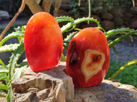 Polished Carnelian Agate Standing Free Forms x 6 From Madagascar - Toprock Gemstones and Minerals 