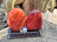 Polished Carnelian Agate Standing Free Forms x 6 From Madagascar - Toprock Gemstones and Minerals 