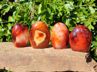 Polished Carnelian Agate Standing Free Forms x 6 From Madagascar - Toprock Gemstones and Minerals 