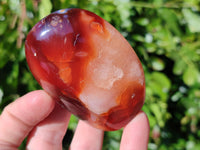 Polished Carnelian Agate Standing Free Forms x 6 From Madagascar - Toprock Gemstones and Minerals 